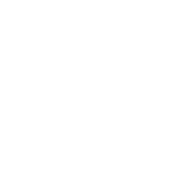 ICNLM